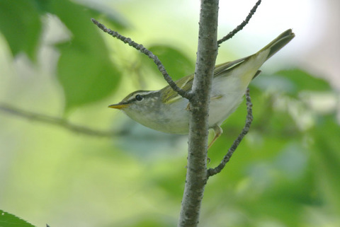 DSC_1329.jpg