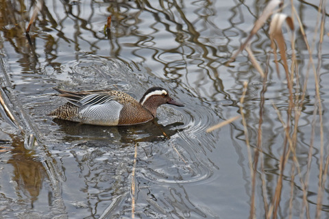 DSC_1348.jpg