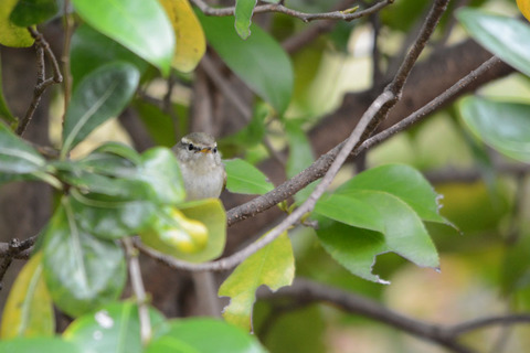 DSC_1349.jpg