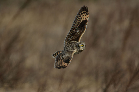 DSC_1356.jpg