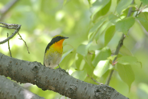 DSC_1359.jpg
