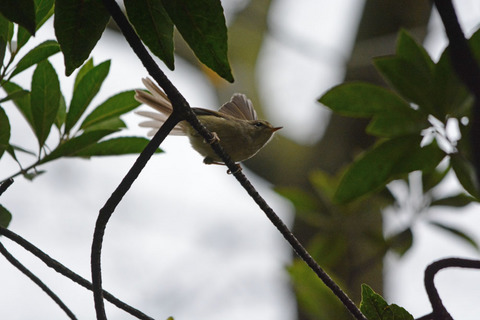 DSC_1363.jpg