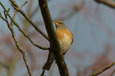 DSC_1363.jpg