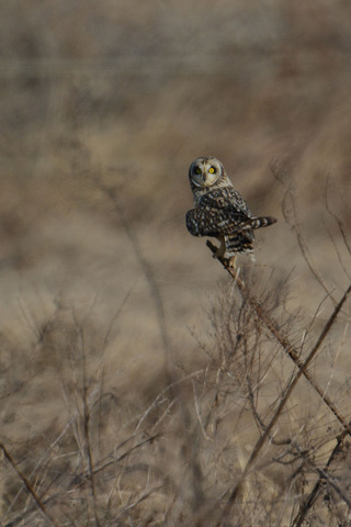 DSC_1364.jpg