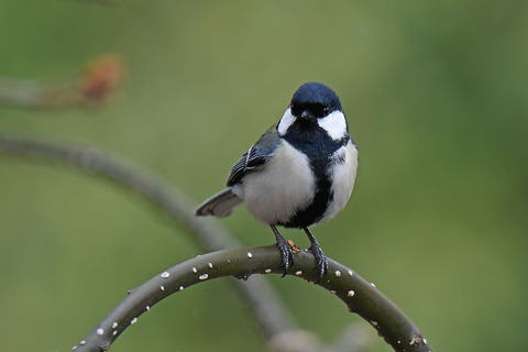 DSC_1372.jpg
