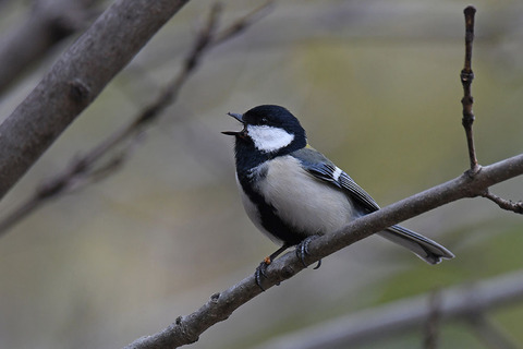 DSC_1389.jpg