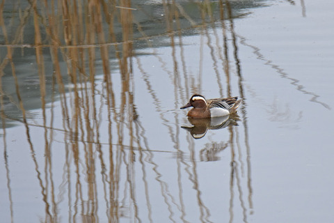 DSC_1409.jpg