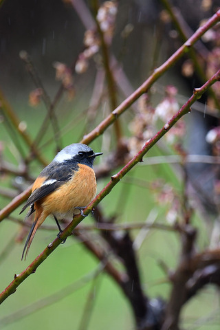 DSC_1427.jpg