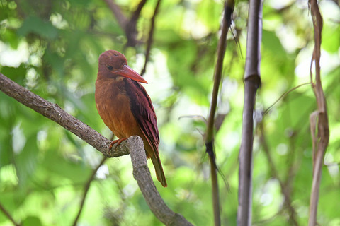 DSC_1448.jpg
