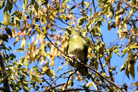 DSC_1560.jpg