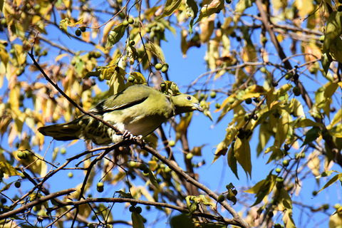 DSC_1568.jpg