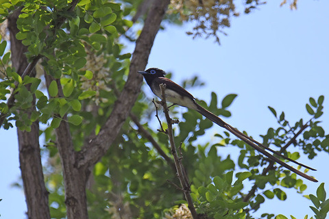 DSC_1569.jpg