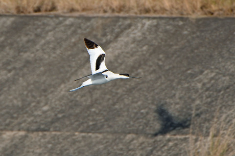 DSC_1586.jpg