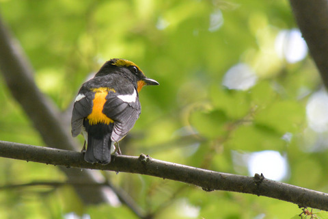 DSC_1597.jpg