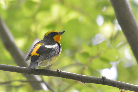 DSC_1601.jpg