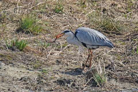 DSC_1605.jpg