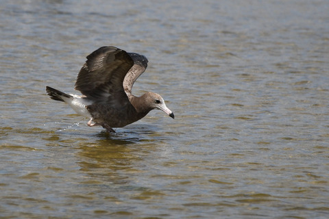 DSC_1607.jpg