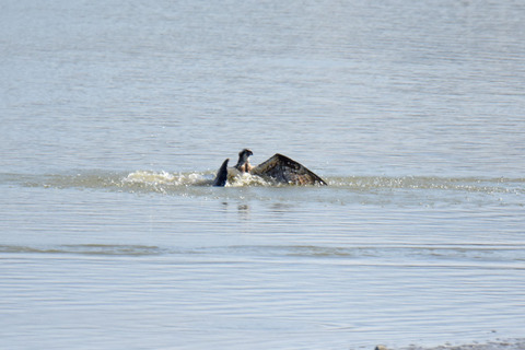 DSC_1608.jpg