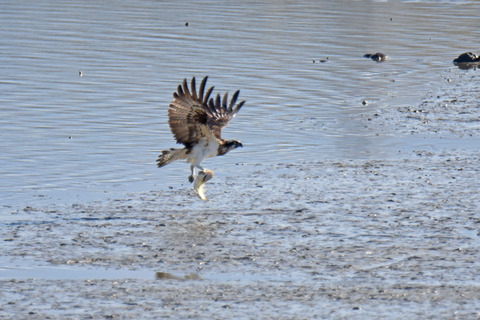 DSC_1624.jpg