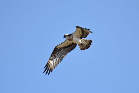 DSC_1638.jpg