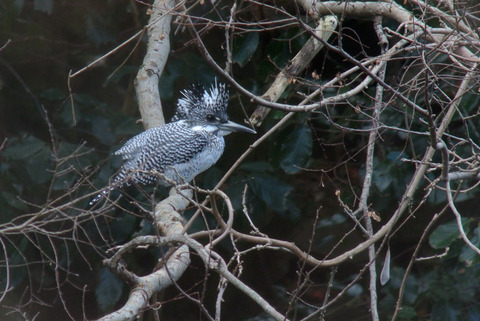 DSC_1647.jpg
