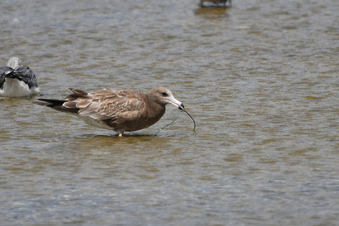 DSC_1657.jpg