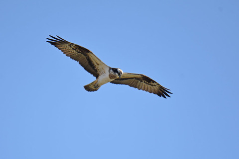 DSC_1673.jpg