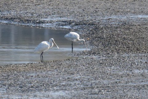 DSC_1684.jpg