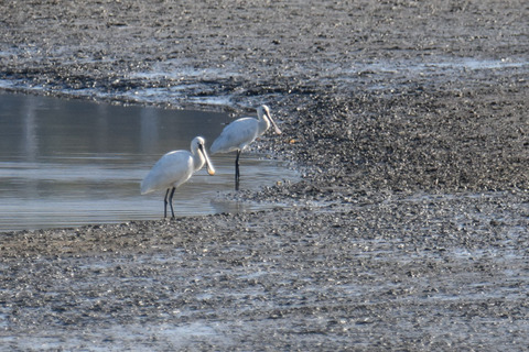 DSC_1695.jpg