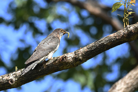 DSC_1710.jpg