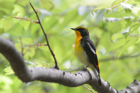 DSC_1713.jpg