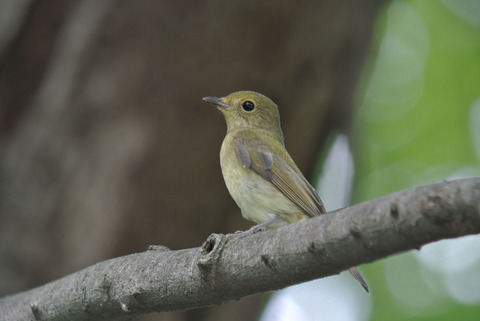 DSC_1728.jpg