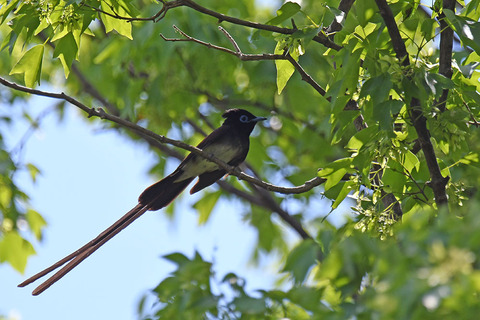 DSC_1739.jpg
