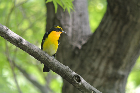 DSC_1746.jpg