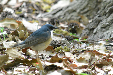 DSC_1747.jpg