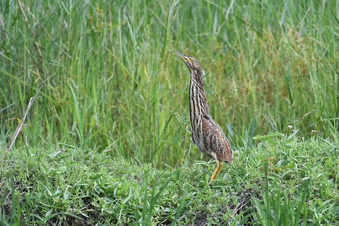 DSC_1758.jpg