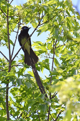 DSC_1761.jpg