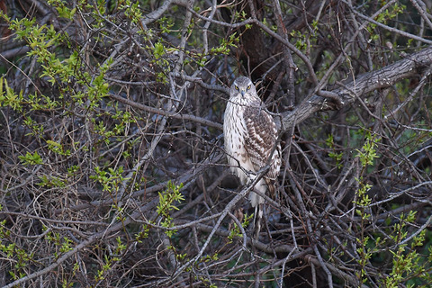 DSC_1773.jpg