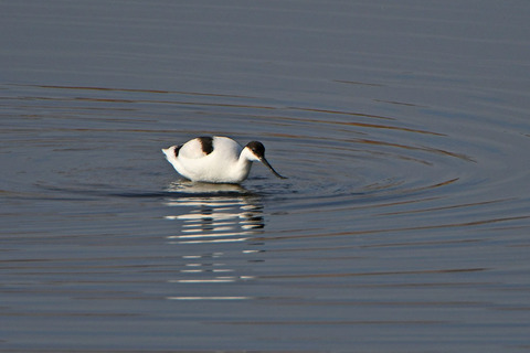 DSC_1792.jpg