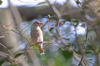DSC_1826.jpg
