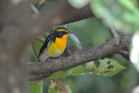 DSC_1827.jpg