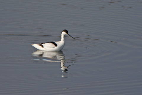 DSC_1847.jpg