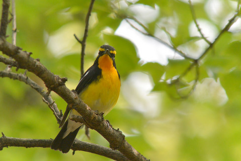 DSC_1853.jpg