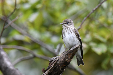 DSC_1864.jpg