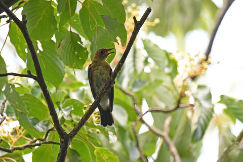 DSC_1867.jpg