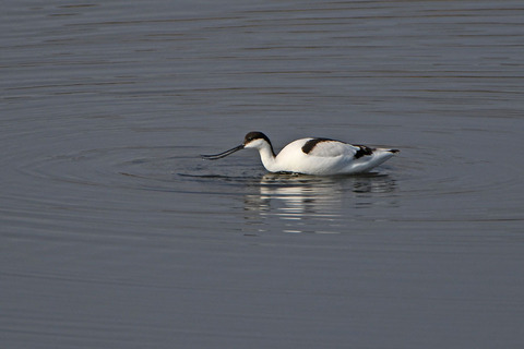 DSC_1871.jpg