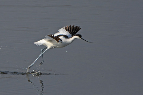 DSC_1873.jpg