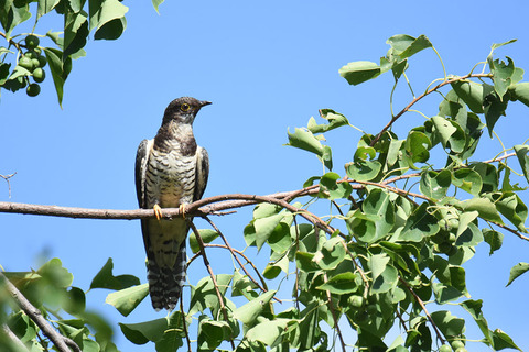 DSC_1886.jpg