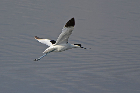 DSC_1890.jpg
