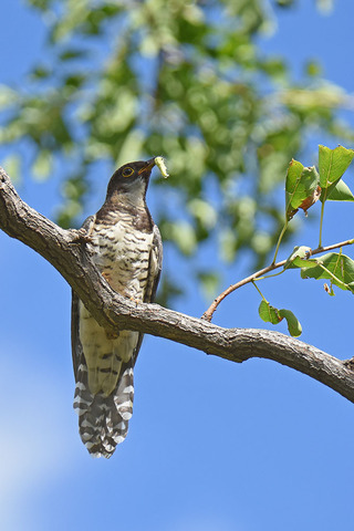DSC_1906.jpg